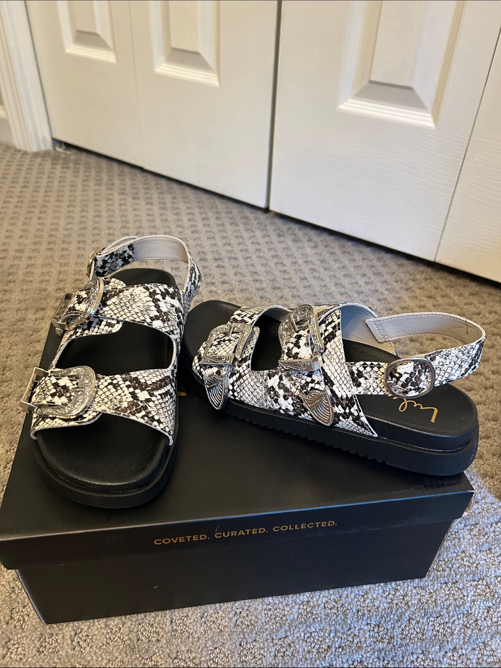 Lulu's Snake-Print Buckle Platform Sandals in Black & White